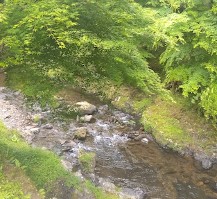 美山荘の近くを流れる 寺谷川