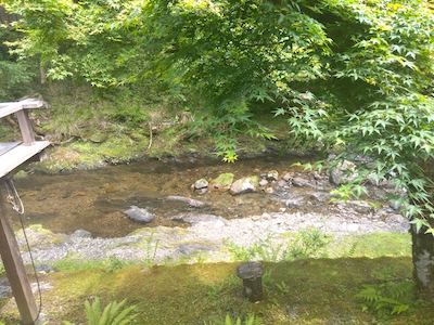 美山荘のお部屋 からの川の眺め