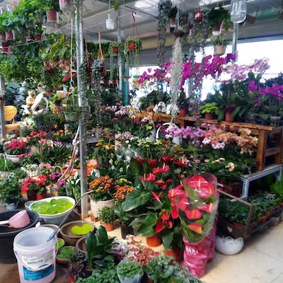 「花の都」雲南省・昆明:学校近くの花屋